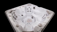 Гидромассажный спа бассейн Hydropool Self Cleaning 720 Platinum Гидромассажный спа бассейн Hydropool Self Cleaning 720 Platinum